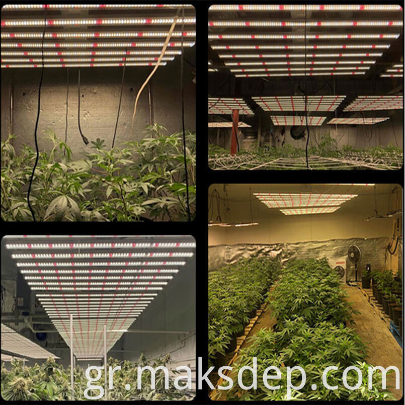 New 2023 Led Grow Light Bar 1000w